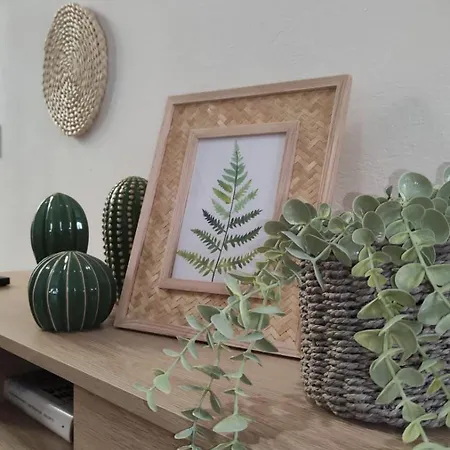 The House Apartment
